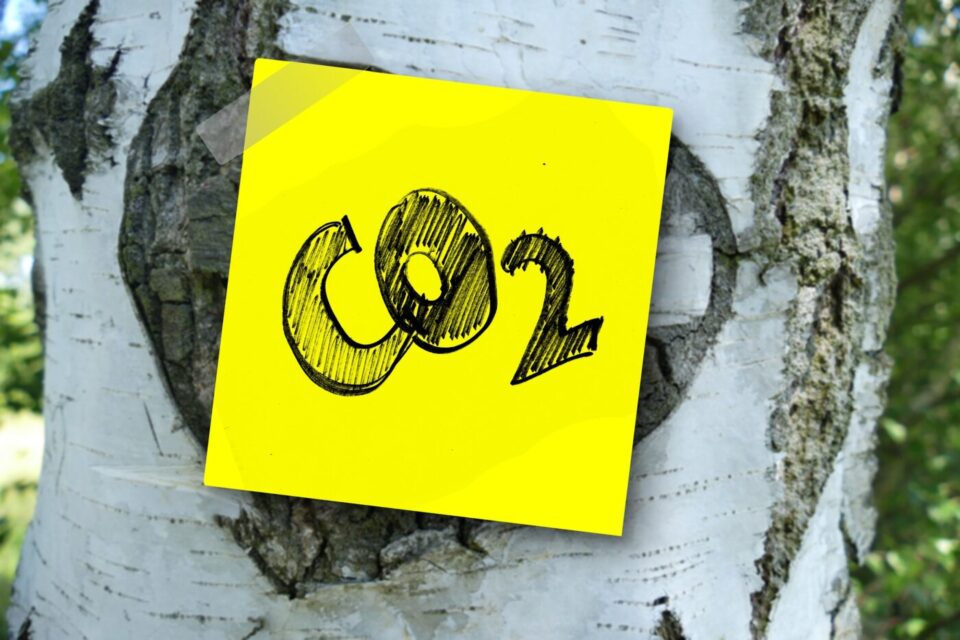 CO2-Reduzierung Illustration, Bild: pixabay.com